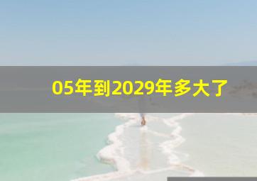 05年到2029年多大了