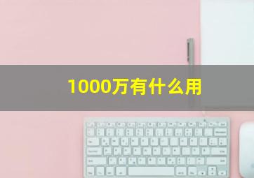 1000万有什么用