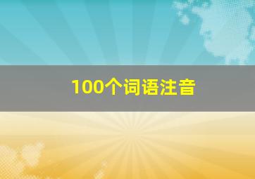 100个词语注音