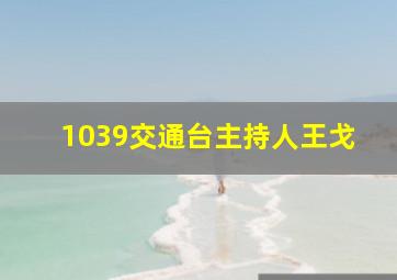 1039交通台主持人王戈