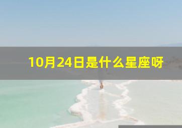 10月24日是什么星座呀