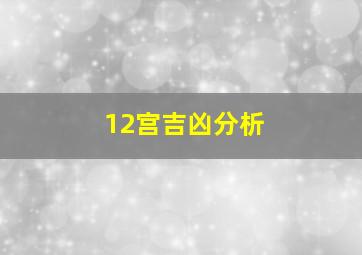 12宫吉凶分析