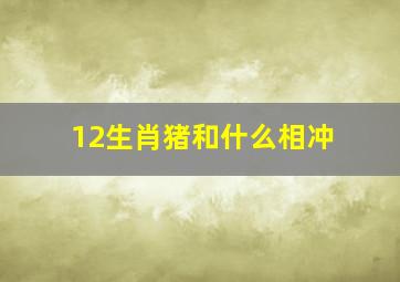 12生肖猪和什么相冲