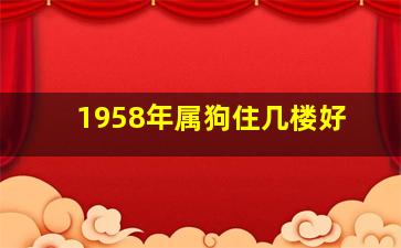 1958年属狗住几楼好