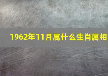 1962年11月属什么生肖属相