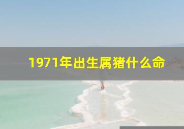 1971年出生属猪什么命