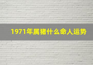 1971年属猪什么命人运势