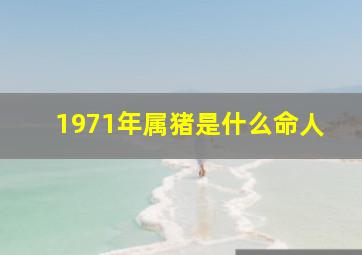 1971年属猪是什么命人