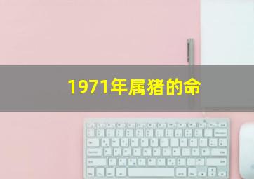 1971年属猪的命