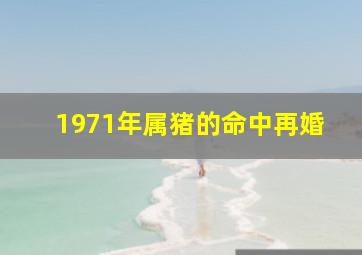 1971年属猪的命中再婚