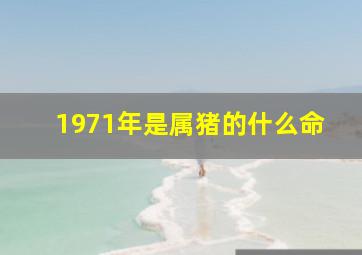 1971年是属猪的什么命