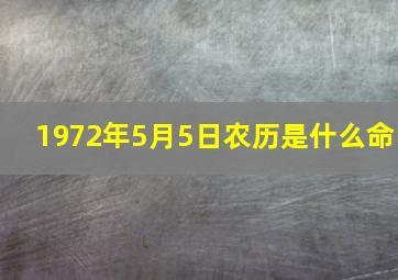 1972年5月5日农历是什么命