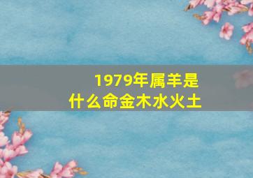 1979年属羊是什么命金木水火土