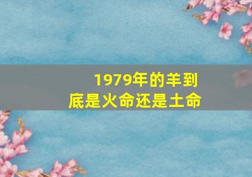 1979年的羊到底是火命还是土命