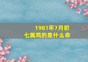 1981年7月初七属鸡的是什么命