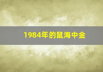 1984年的鼠海中金