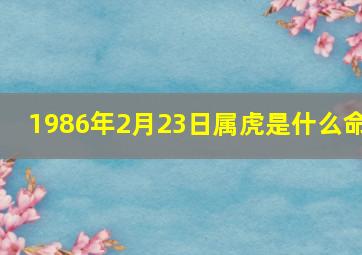 1986年2月23日属虎是什么命