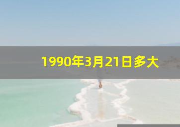 1990年3月21日多大