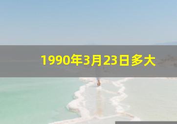 1990年3月23日多大