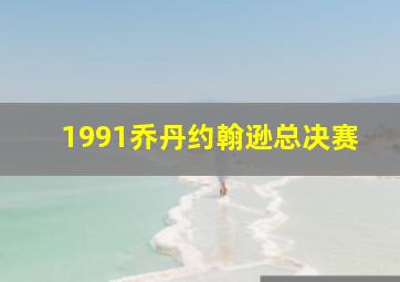 1991乔丹约翰逊总决赛