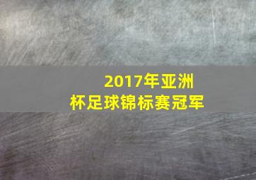 2017年亚洲杯足球锦标赛冠军