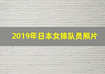 2019年日本女排队员照片