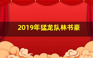 2019年猛龙队林书豪