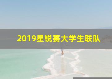 2019星锐赛大学生联队