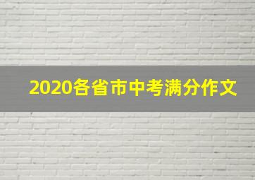 2020各省市中考满分作文