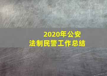 2020年公安法制民警工作总结