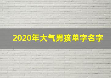 2020年大气男孩单字名字