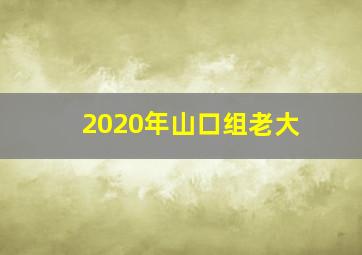 2020年山口组老大