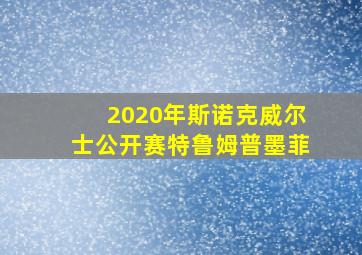 2020年斯诺克威尔士公开赛特鲁姆普墨菲