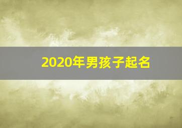 2020年男孩子起名