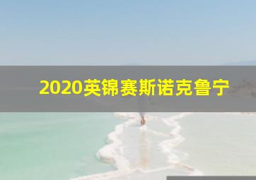 2020英锦赛斯诺克鲁宁