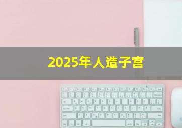 2025年人造子宫