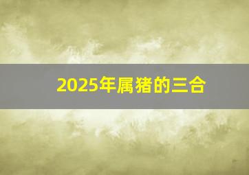 2025年属猪的三合