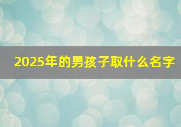 2025年的男孩子取什么名字