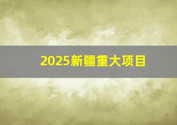 2025新疆重大项目