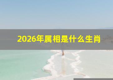 2026年属相是什么生肖