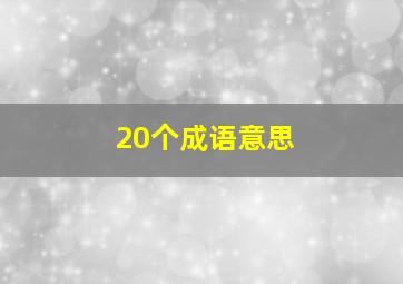 20个成语意思