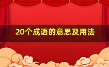 20个成语的意思及用法