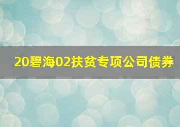 20碧海02扶贫专项公司债券