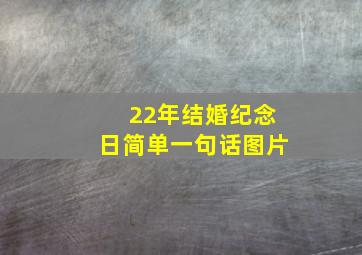 22年结婚纪念日简单一句话图片