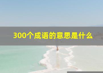 300个成语的意思是什么