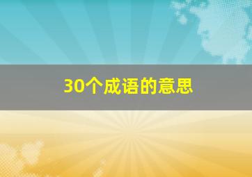 30个成语的意思