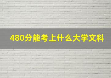 480分能考上什么大学文科