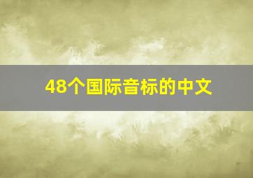 48个国际音标的中文