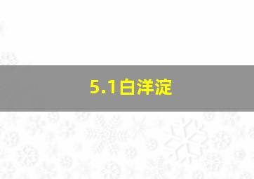 5.1白洋淀