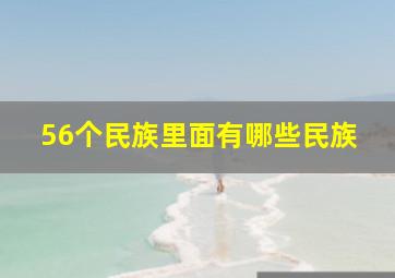 56个民族里面有哪些民族